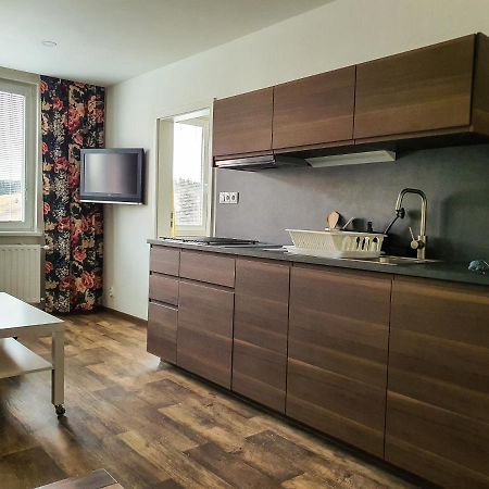 Apartmany Schmiedeberg U Klinovce Kovářská Buitenkant foto